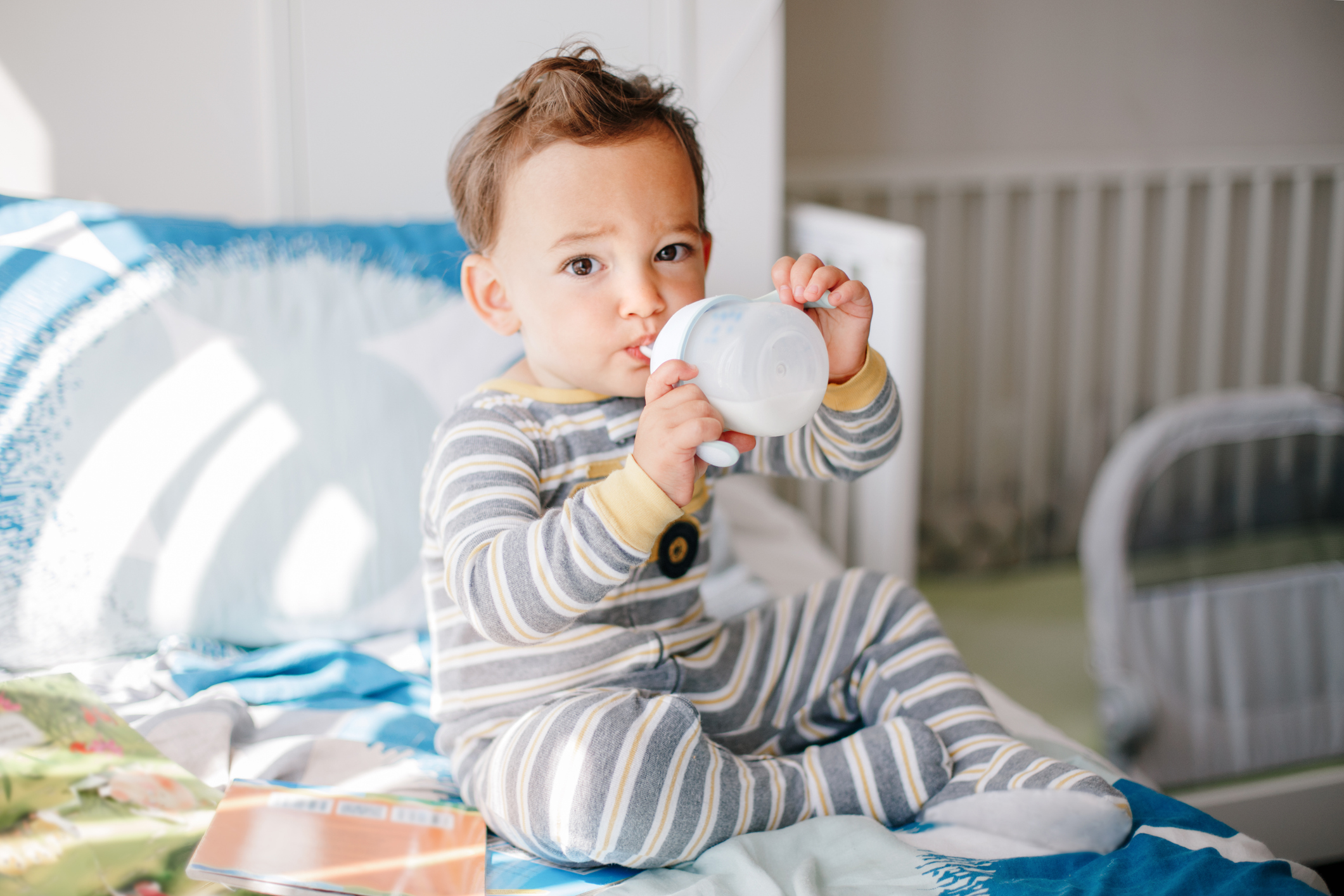 Toddler drinking milk from bottle at risk for baby bottle rot